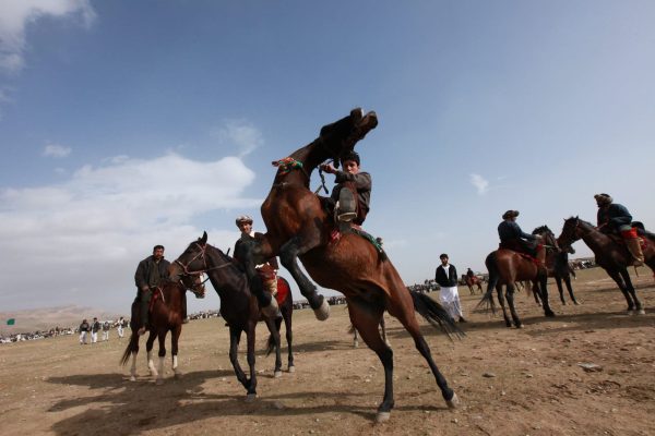 Изображение WhatsApp 2024-03-14 в 13.36.05_41592ffe