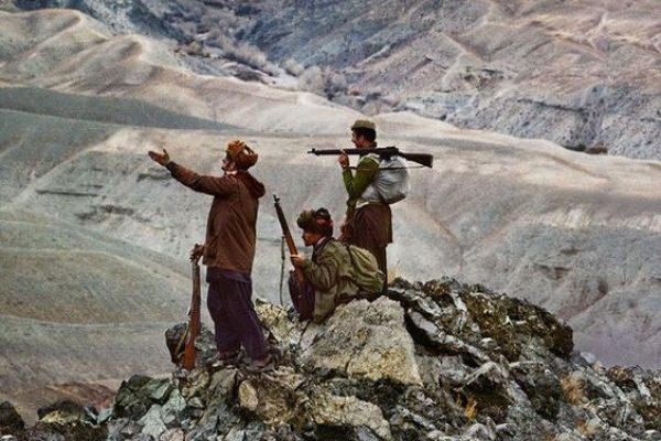 Изображение WhatsApp 2024-05-06 в 14.06.48_71425eee